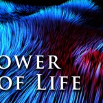 Permalink to Power of Life 1.0 Live Wallpaper