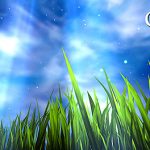 Permalink to 3D GRASS v1.0 Live Wallpaper