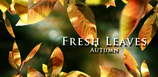 Fresh Leaves 1.5 – UPDATE