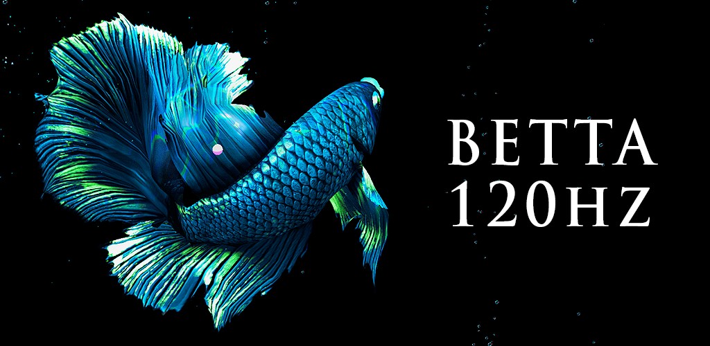 BETTA 120HZ